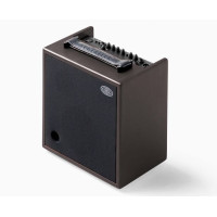 Giulia X 70 watt 2 channel acoustic amplifier